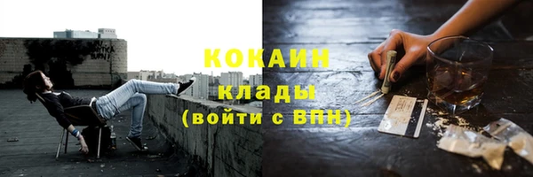 ешки Белокуриха