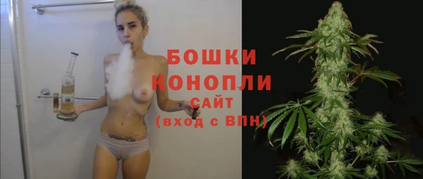 ешки Белокуриха