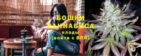 МДПВ Бронницы