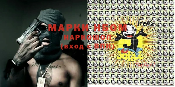прущие грибы Белоозёрский