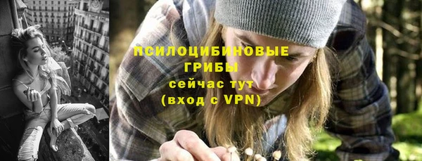 ешки Белокуриха