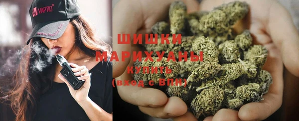 ешки Белокуриха